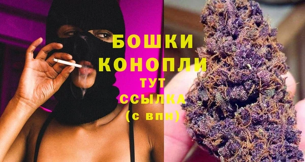 амф Аркадак