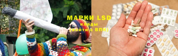 амф Аркадак
