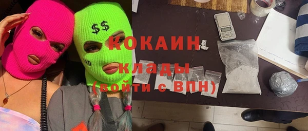 apvp Няндома
